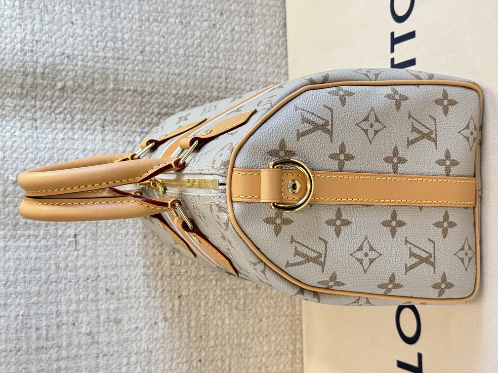 100% Original Louis Vuitton Speedy 25 Bandouliere Monopaname